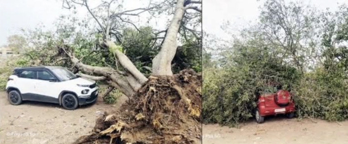 परंडा तालुक्यात वादळी वाऱ्याचा तडाखा; नागरिकांचे हाल, मोठे नुकसान